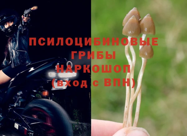 a pvp Беломорск