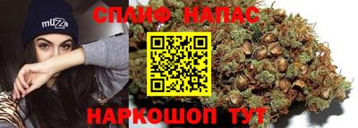 стаф Ставрополь