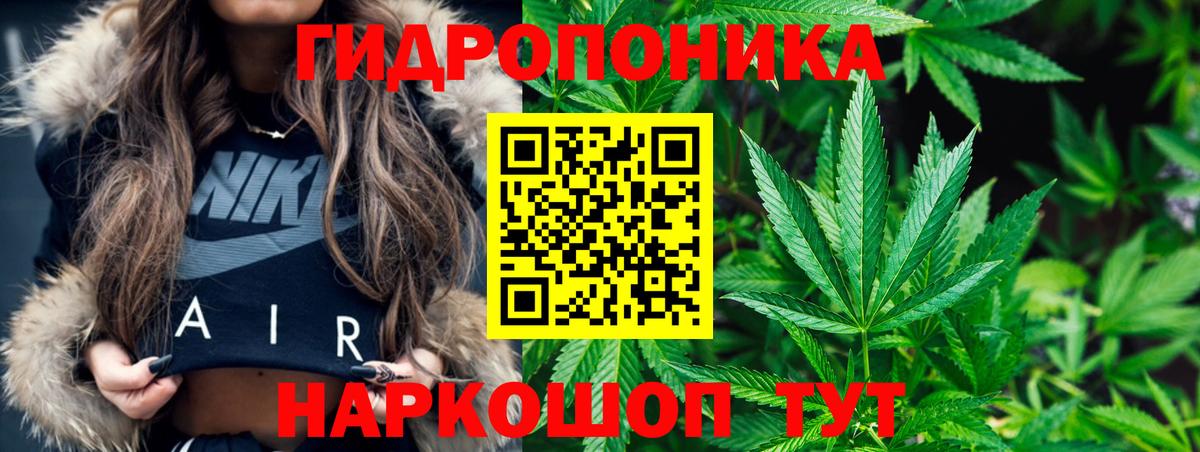 Каннабис OG Kush  Конопля AK-47  Славгород  Вход с VPN  Бошки Шишки семена 